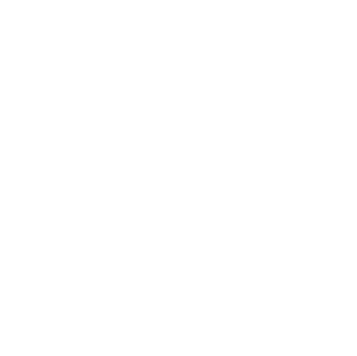The Dental Studios